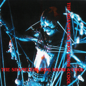 The Shameless Dog Show & Cool