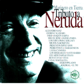 Marinero en Tierra