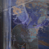 love was just a feeling