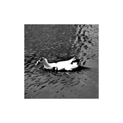 God Bless My Asian Girls