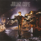 Mock Turtle by Julian Cope