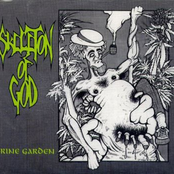 Spiritual Schizophilia by Skeleton Of God