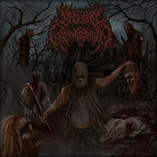 Backyard Cannibalism