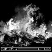 Amygdala: Amygdala and Listless Split