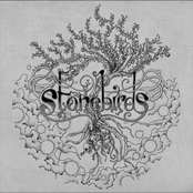 The mirabelle's night