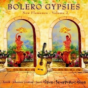 Bolero Gypsies New Flamenco, Vol. 2