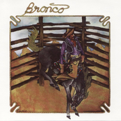 Orquesta Bronco