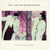 Catch The Fall by The Dolphin Brothers