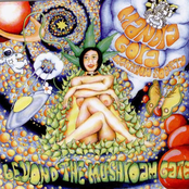 Beyond The Mushroom Gate