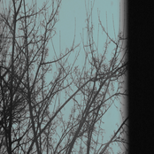 Auditory Impedance