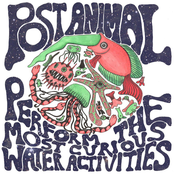 Post Animal - Goggles