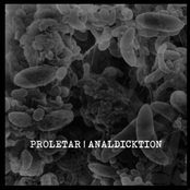 Proletar/Analdicktion