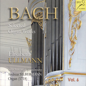 Bach: Selected Organ Works
