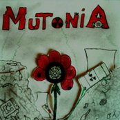 Mutonia