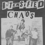 Demo 1982