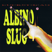 Symmetrical Slug by Buckethead