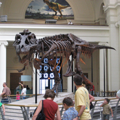 Night at the secret museum