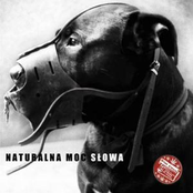 Naturlana Moc Słowa