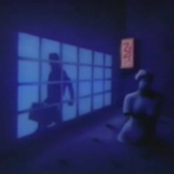 the new york aerial shot association