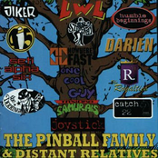 Pinball Family And Distant Relatives