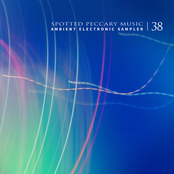 Spotted Peccary Music: Ambient electronic sampler 38