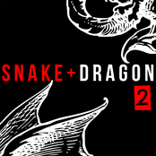 Snake & Dragon 2