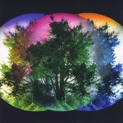 The Imitation Garden