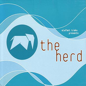 Too Late by The Herd