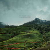 Nuwara Eliya