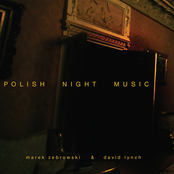 Polish Night Music - Live at the NYC Polish Consulate