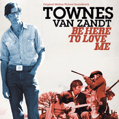 I Just Had To Fall by Townes Van Zandt