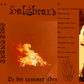 De der tæmmer ilden