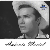 Antonio Maciel