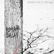 Shadows in the night