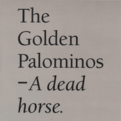 Darklands by The Golden Palominos