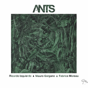 Ants