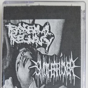 Transexual Pregnancy / Smotherfucker