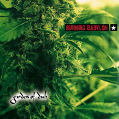 Earth And Stone by Burning Babylon