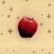 Big Stomp, Big Stomp