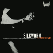 Cotton Girl by Silkworm
