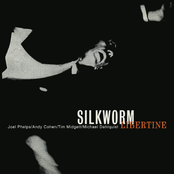 A Tunnel by Silkworm