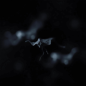 Before I Didn’t See That Coming