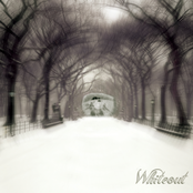 WhiteOut