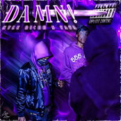 Damn