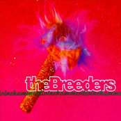 Hoverin' by The Breeders