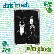 Shoulder Your Own / Fellow Immortalists