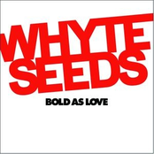 Higher Than The Sun by Whyte Seeds