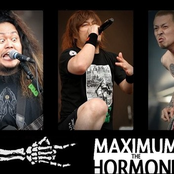 Maximum The Hormone（マキシマム ザ ホルモン）