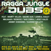 Ragga Jungle Dubs-RETAiL CD