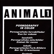Animal Bizarre 1